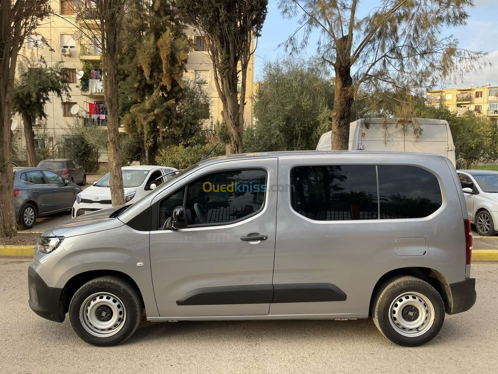 Fiat Professional Doblo 2024 Doblo