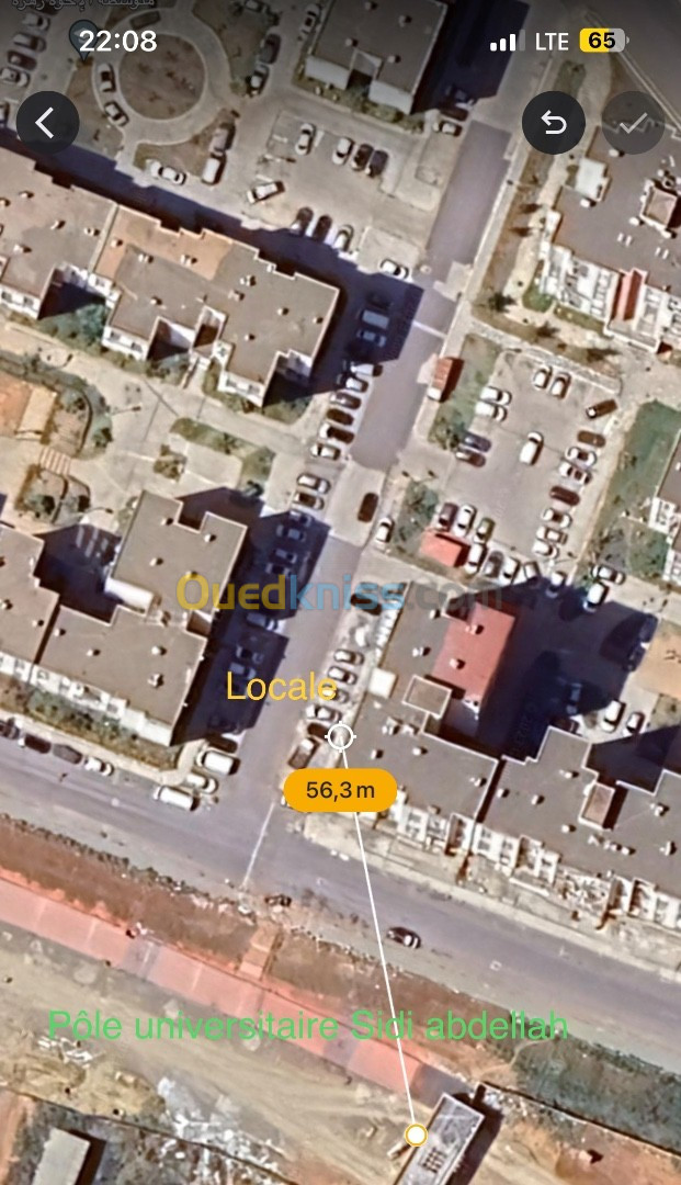 Location Local Alger Zeralda