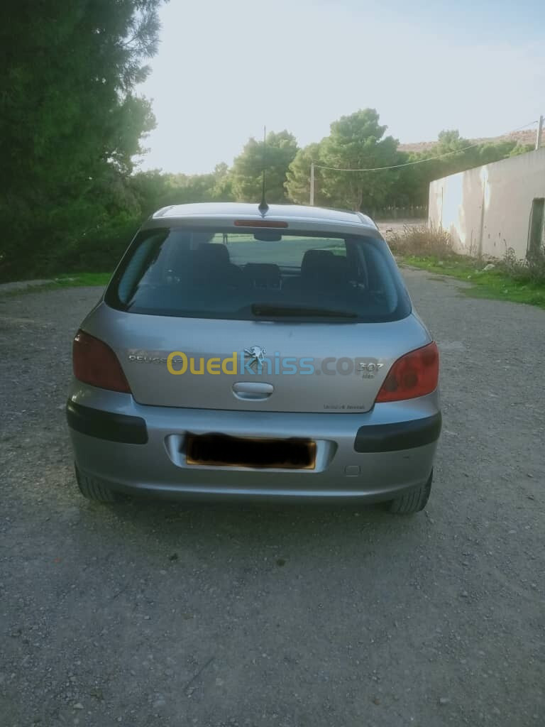 Peugeot 307 2004 307