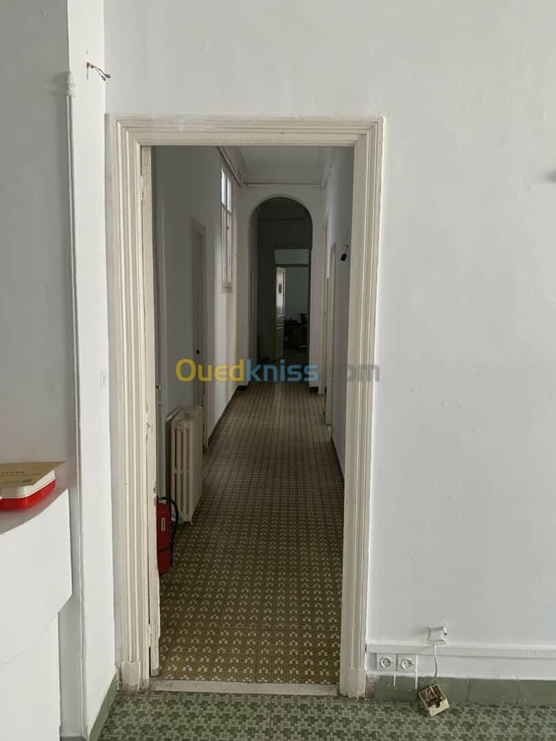 Location Appartement F11 Alger Alger centre