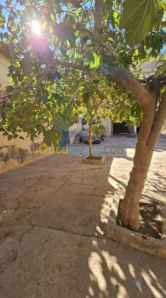 Vente Villa Sidi Bel Abbès Sidi bel abbes