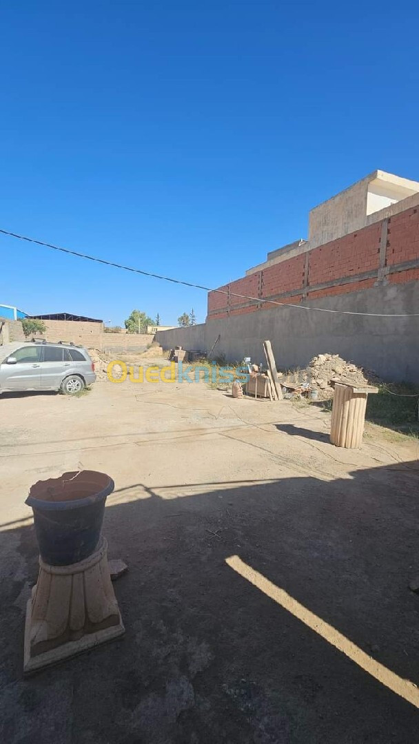 Vente Terrain Sidi Bel Abbès Sidi bel abbes