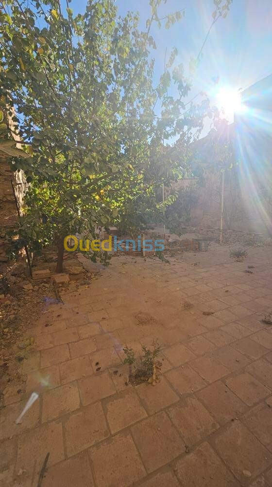 Vente Villa Sidi Bel Abbès Sidi bel abbes