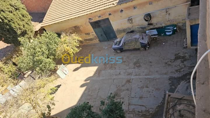 Vente Villa Sidi Bel Abbès Sidi bel abbes