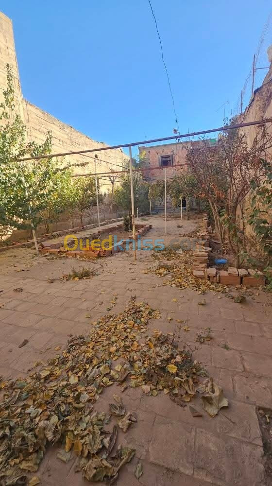 Vente Villa Sidi Bel Abbès Sidi bel abbes