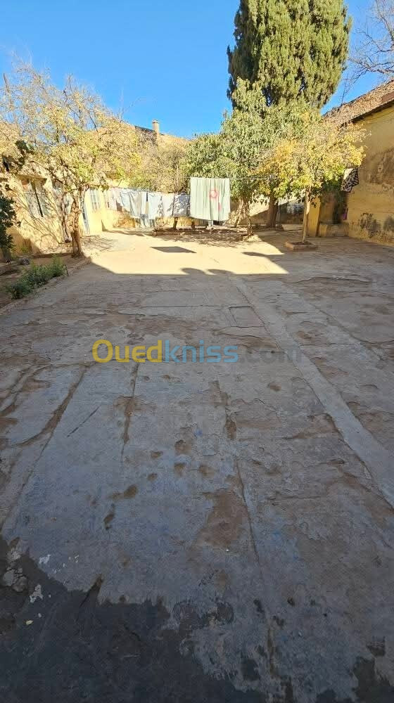 Vente Villa Sidi Bel Abbès Sidi bel abbes