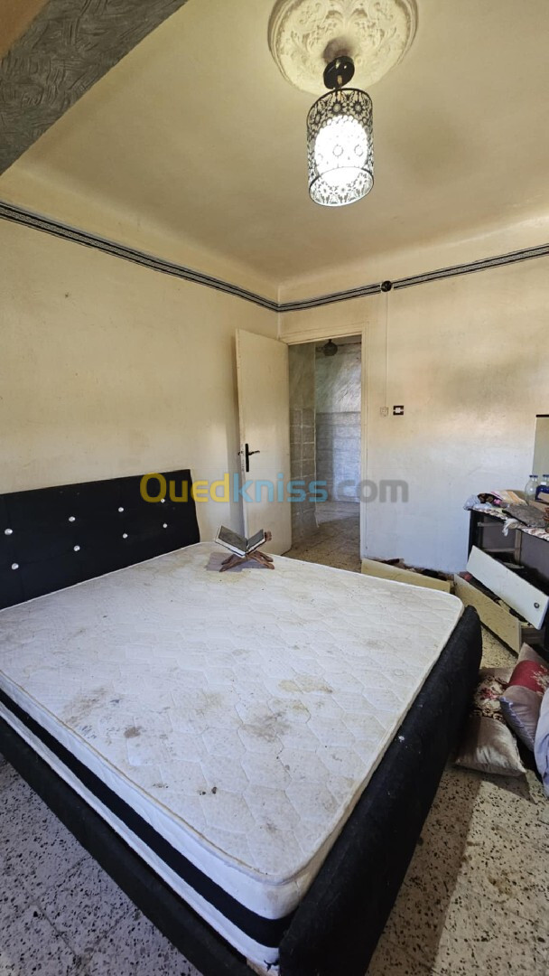 Vente Appartement F2 Sidi Bel Abbès Sidi bel abbes