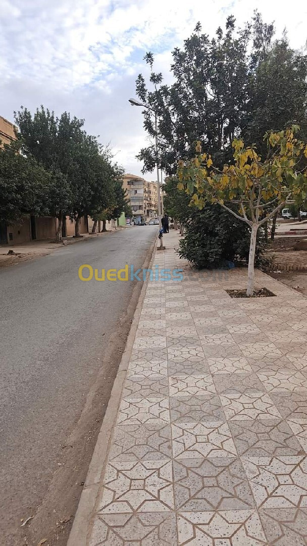 Vente Local Sidi Bel Abbès Sidi bel abbes