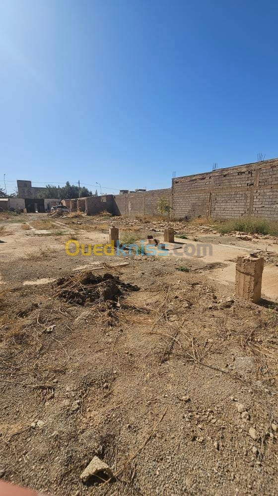 Vente Terrain Sidi Bel Abbès Sidi bel abbes