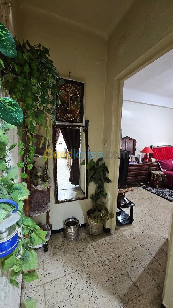 Vente Appartement F3 Sidi Bel Abbès Sidi bel abbes