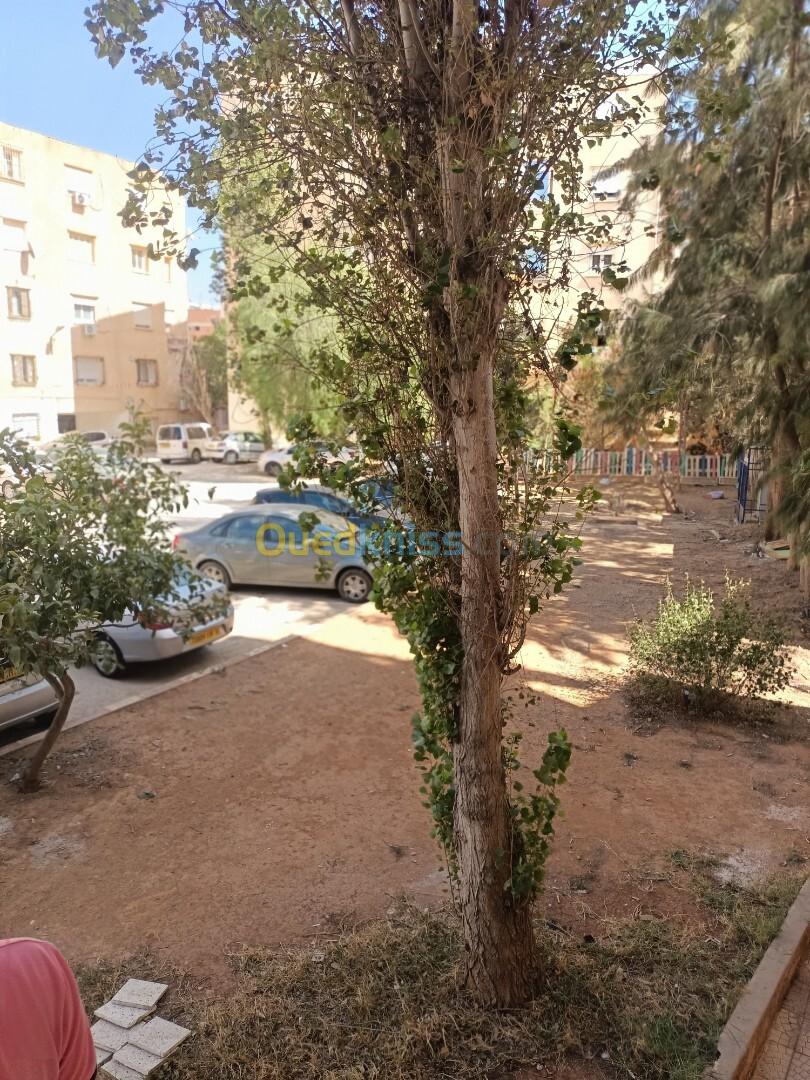 Vente Appartement F2 Alger Souidania