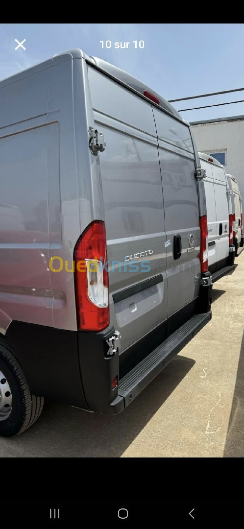 Fiat Ducato 2 pano 2023 Forg