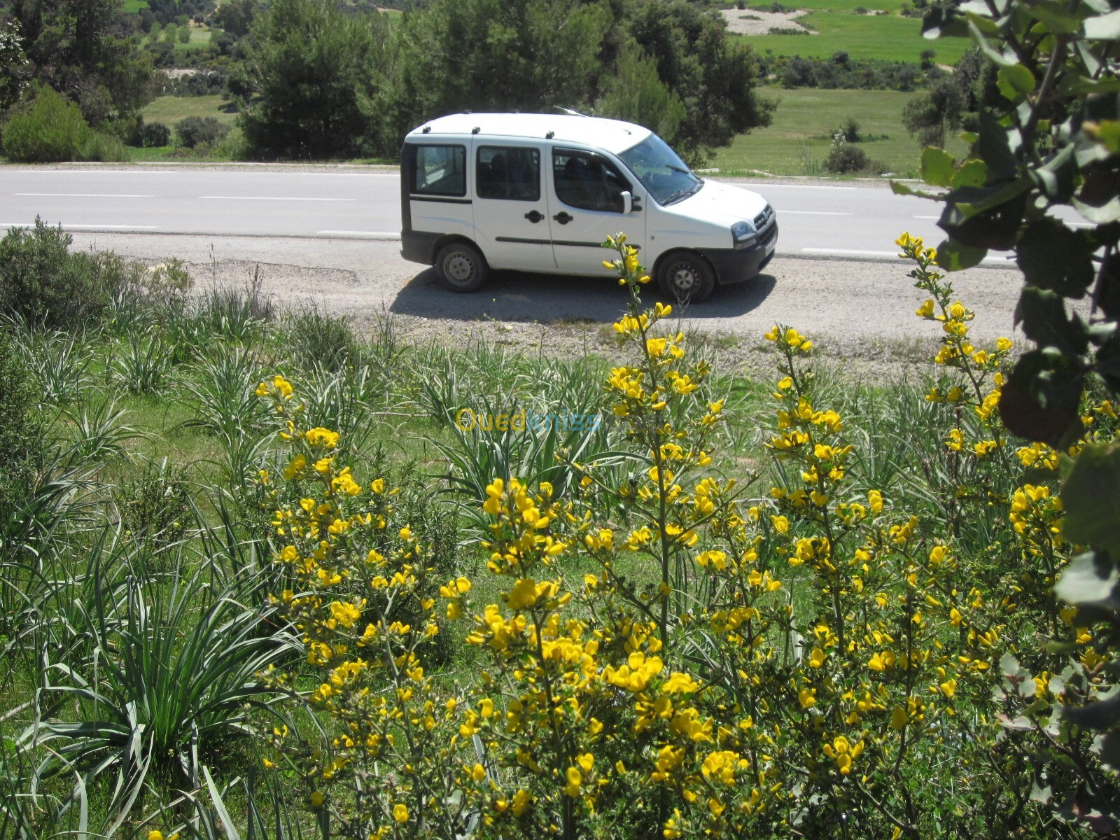 Fiat Doblo 2008 break