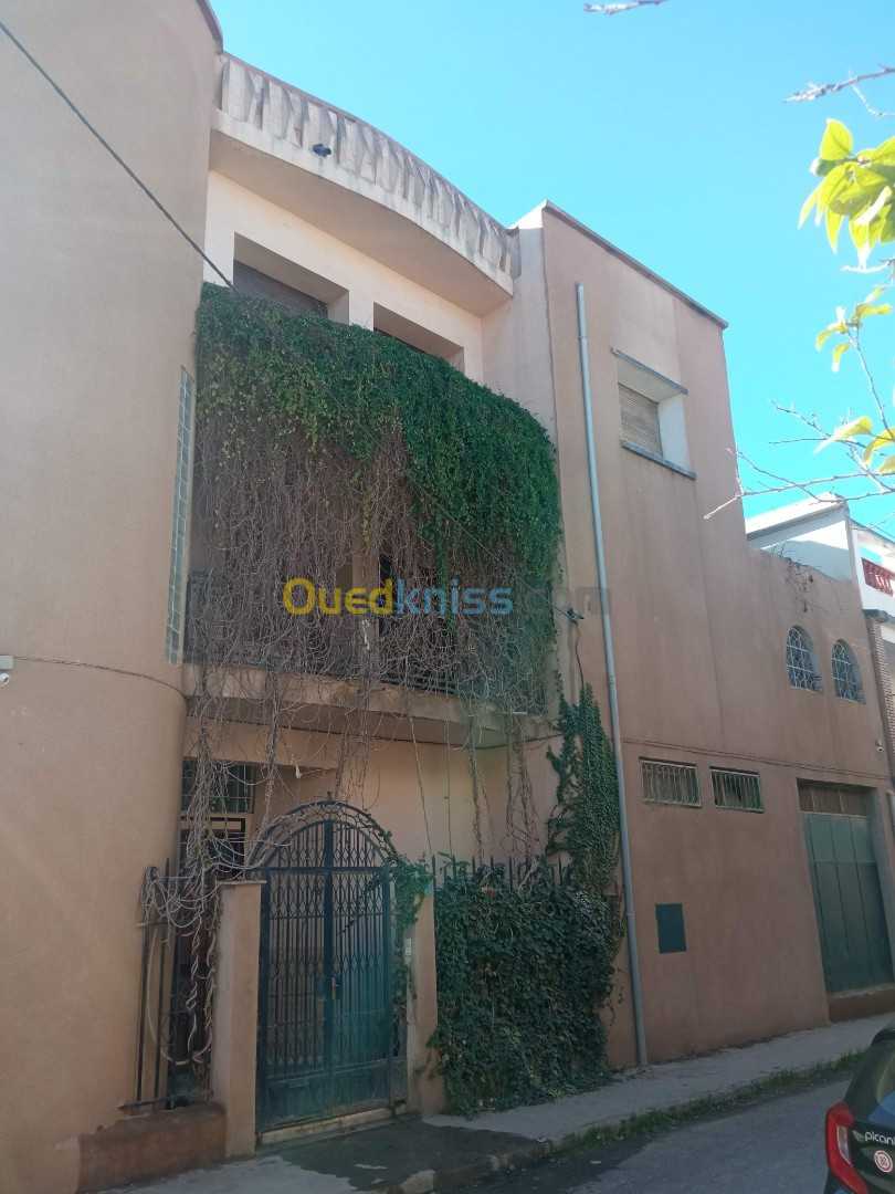 Vente Villa Sidi Bel Abbès Sidi bel abbes