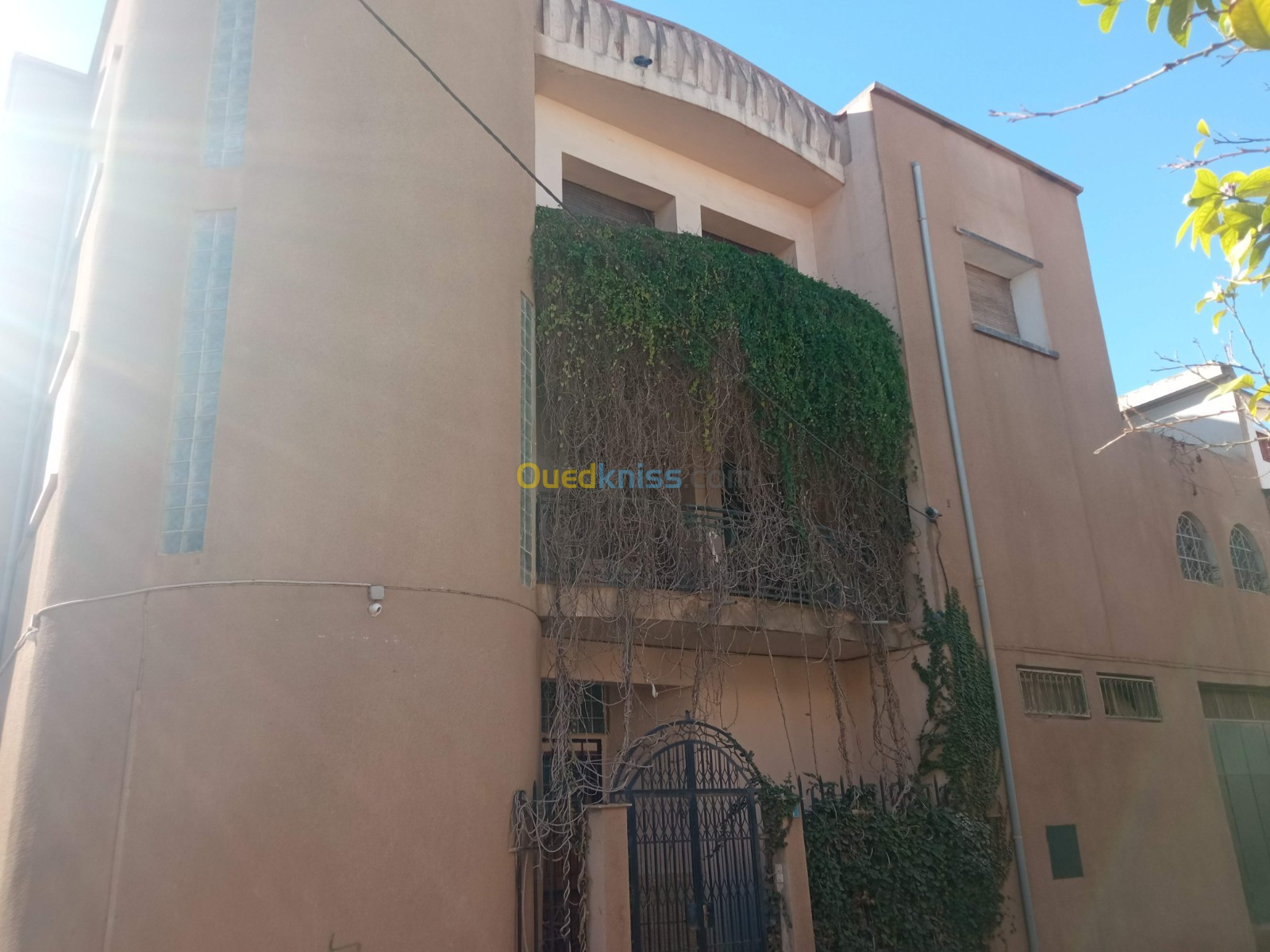 Vente Villa Sidi Bel Abbès Sidi bel abbes