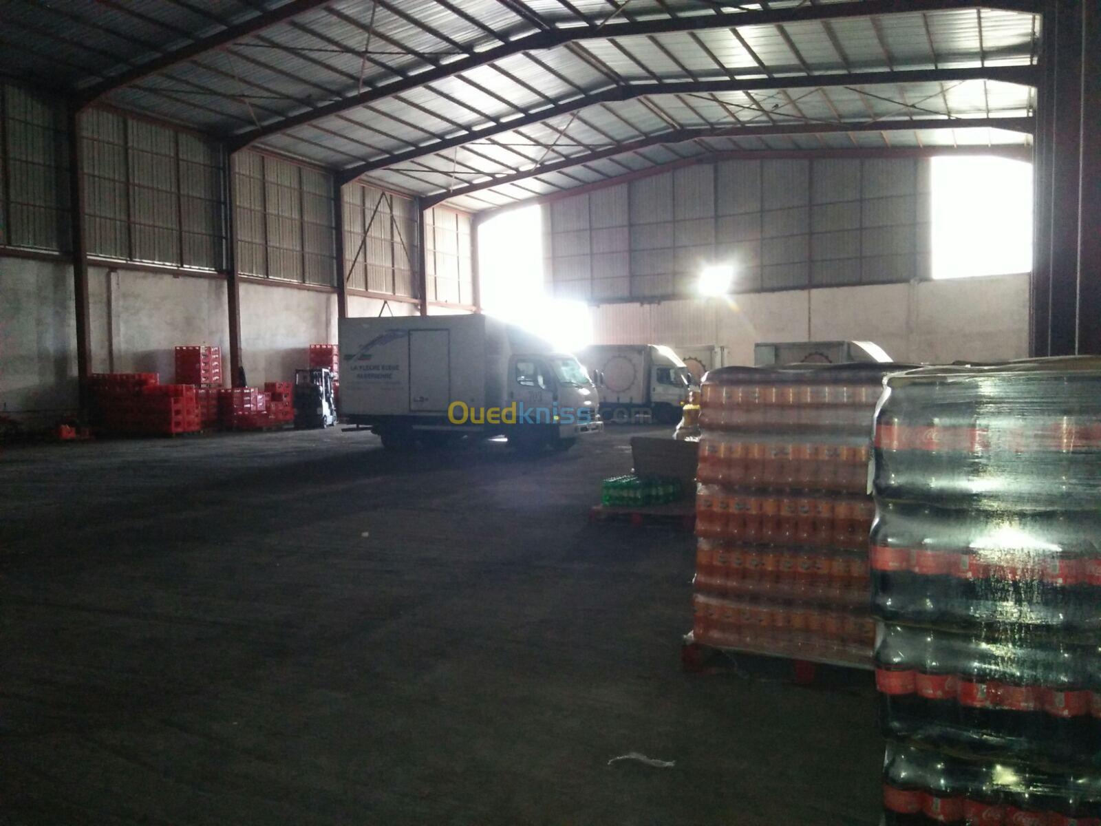 Location Hangar Mostaganem Mostaganem