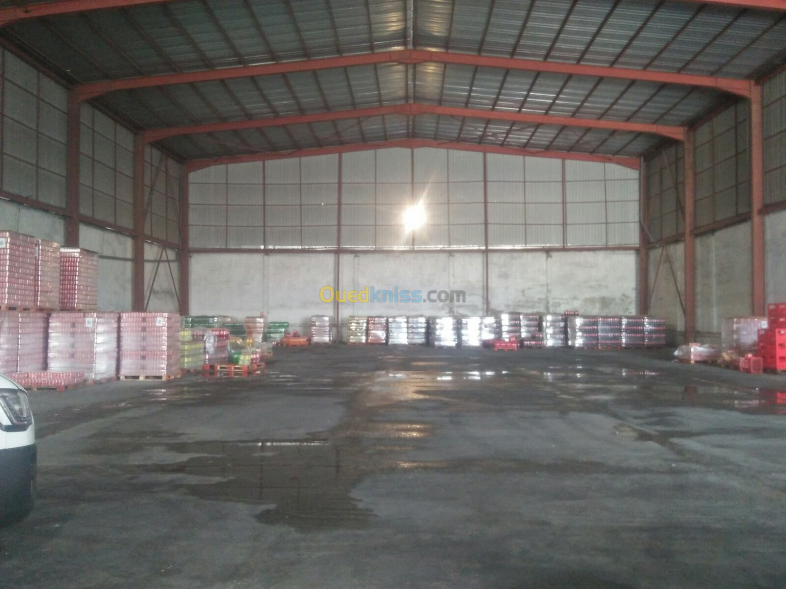 Location Hangar Mostaganem Mostaganem