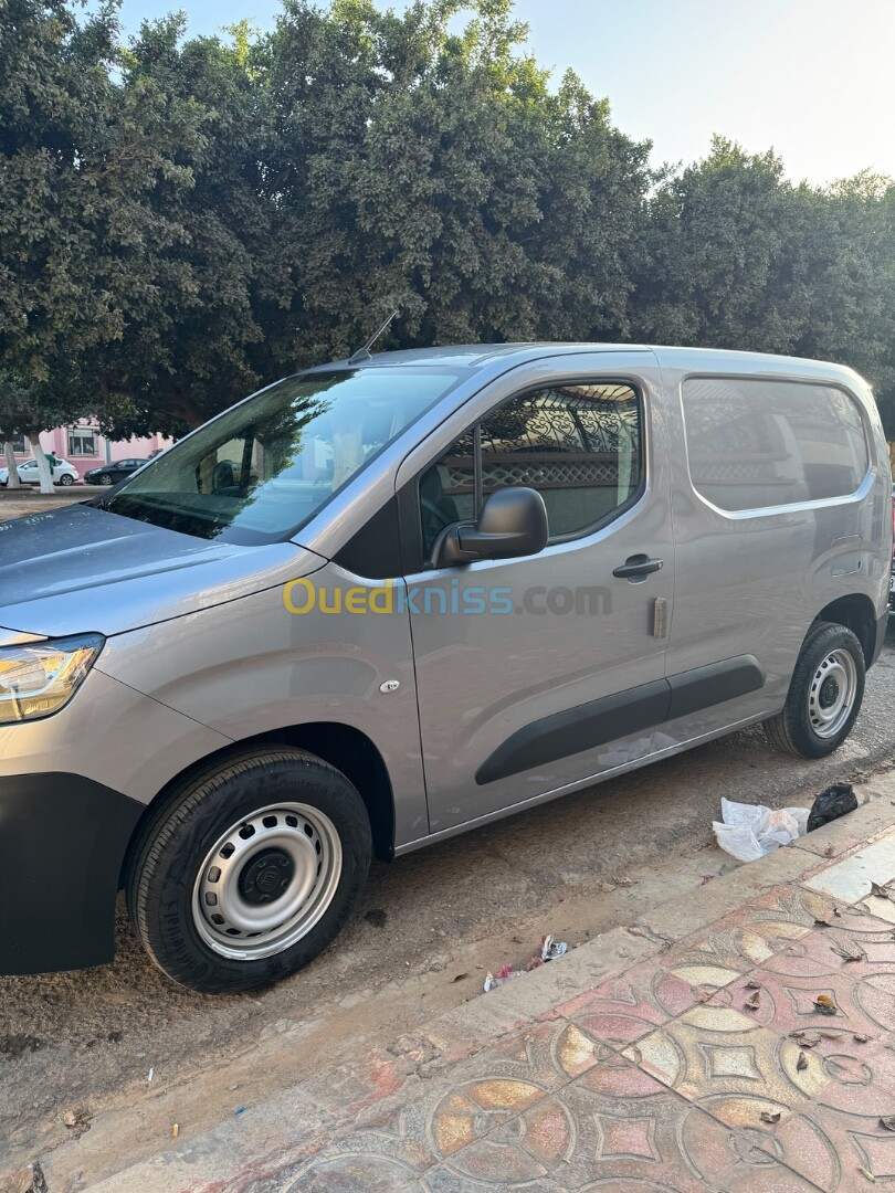 Fiat Doblo 2024 Professionnel