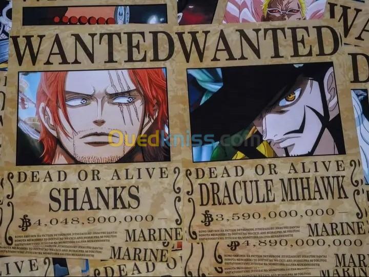 One Piece Wanted Poster 