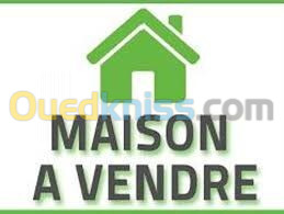 Vente Villa Aïn Defla Ain defla