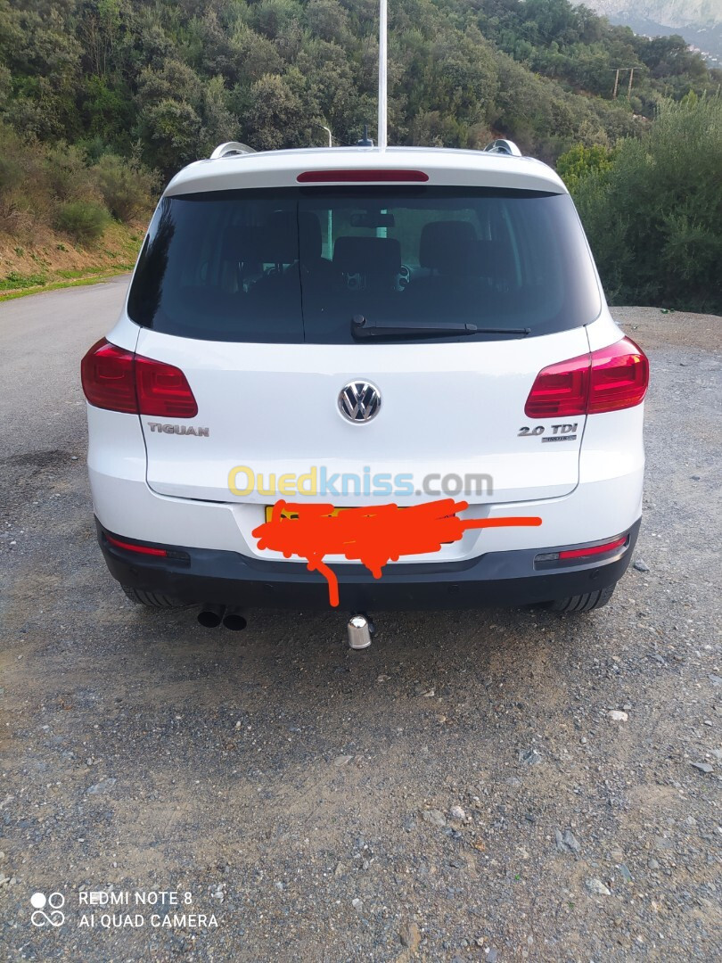 Volkswagen Tiguan 2015 Cup