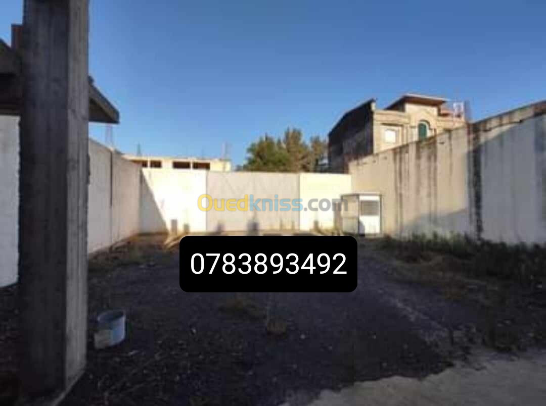 Vente Terrain Alger Ouled chebel