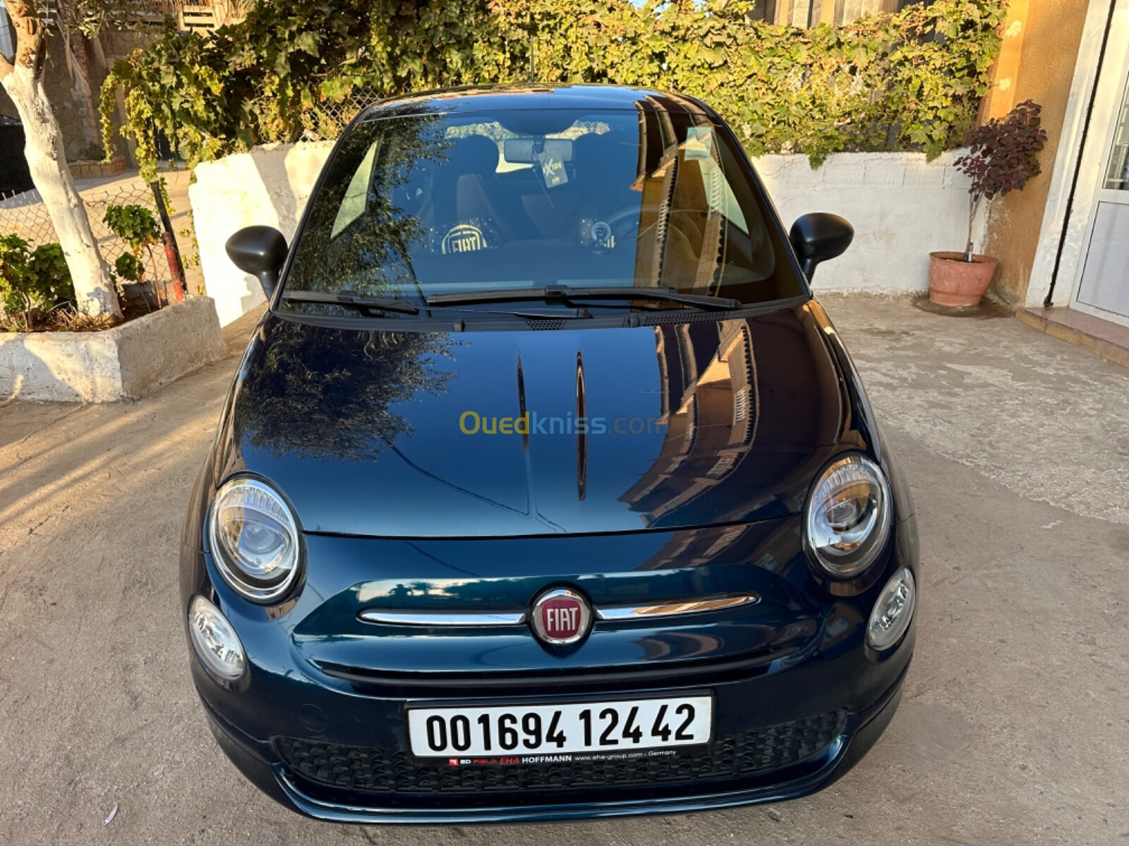 Fiat 500 2024 