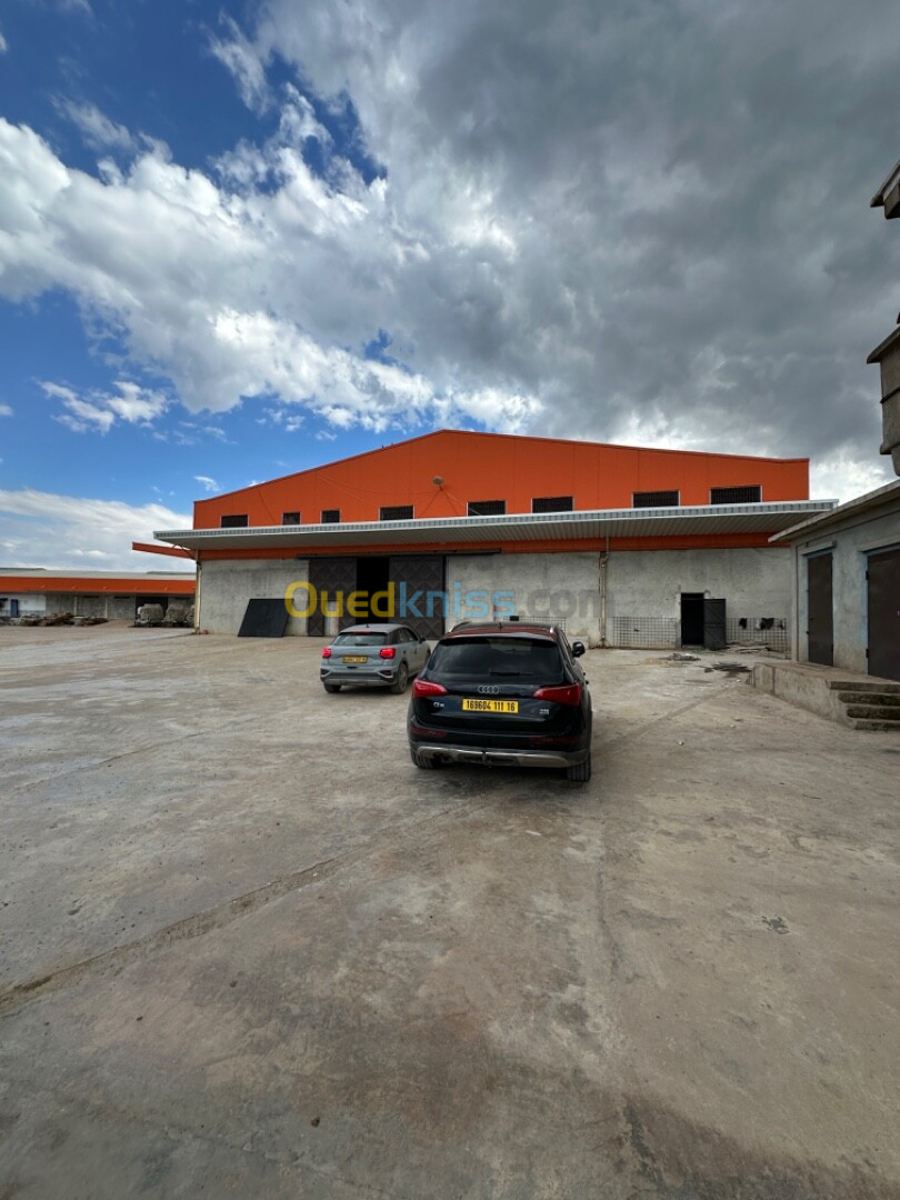 Location Hangar Blida Blida