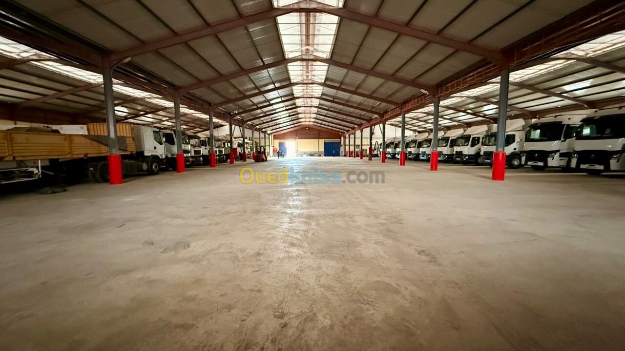 Location Hangar Blida Ouled el alleug