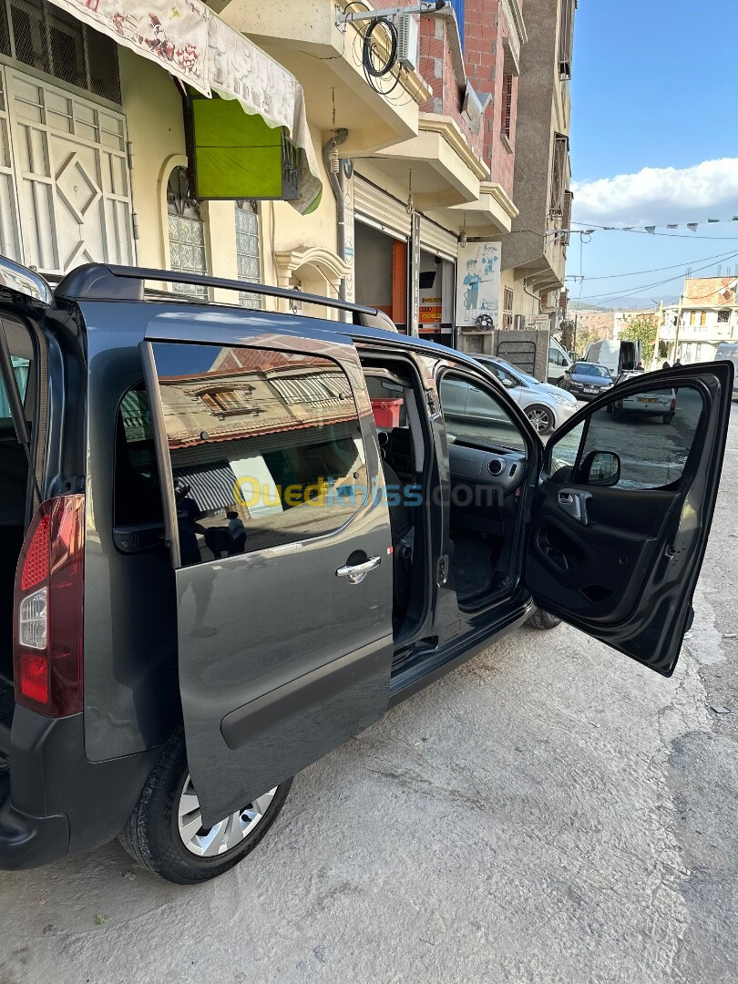 Citroen Berlingo 2017 Berlingo