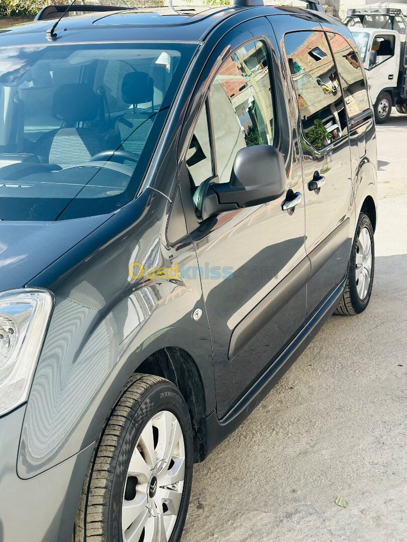 Citroen Berlingo 2017 Berlingo