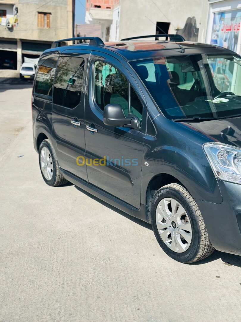 Citroen Berlingo 2017 Berlingo