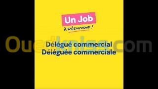 DELEGUE COMMERCIAL