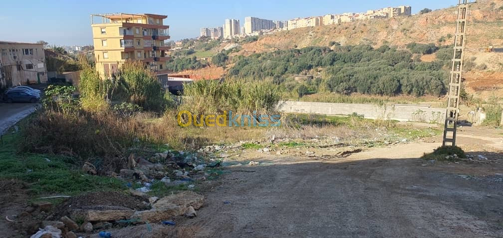 Vente Terrain Alger Cheraga