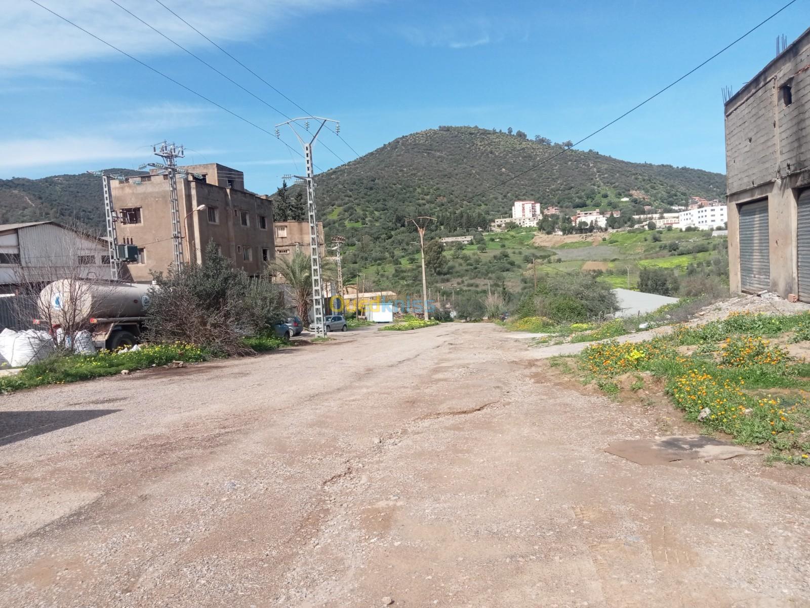 Location Terrain Boumerdès Beni amrane