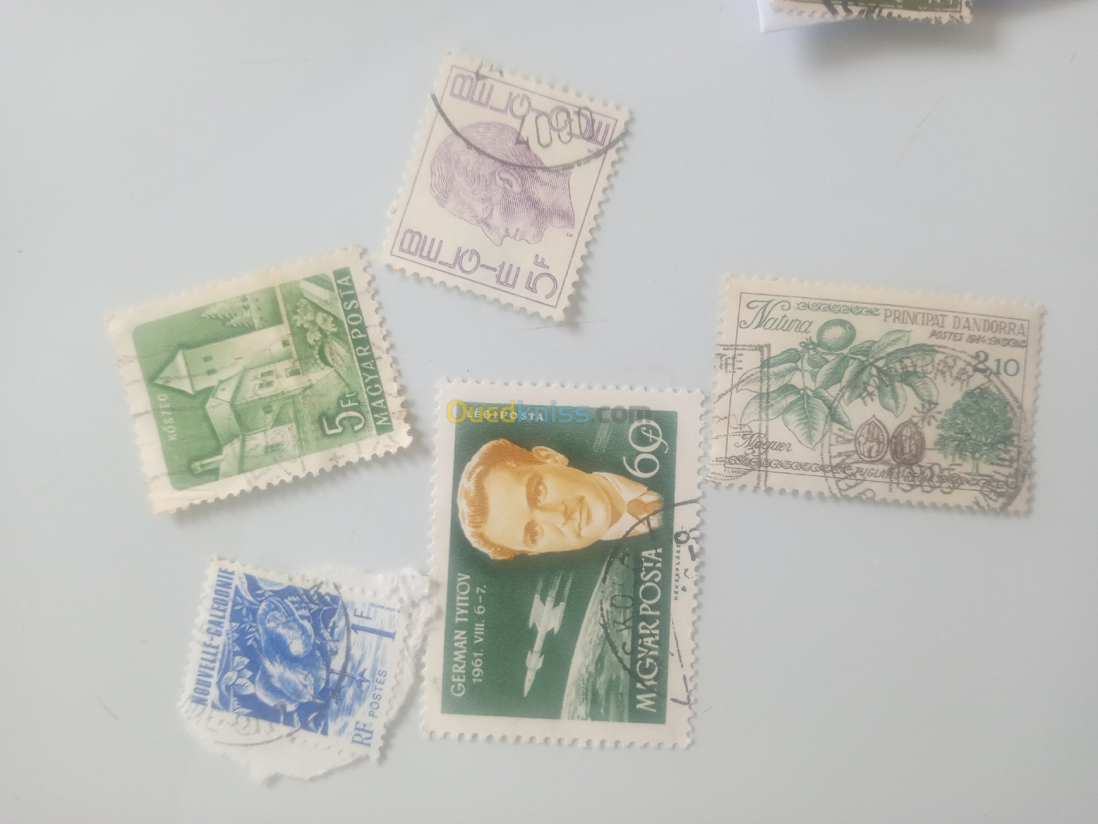 Timbres  des 5 continent 