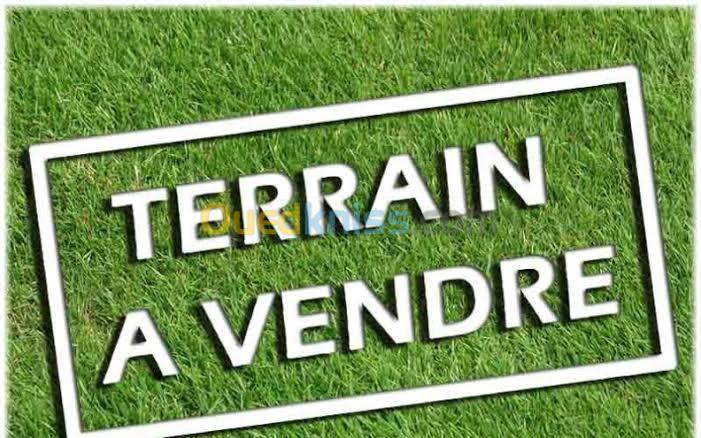 Vente Terrain Alger Draria