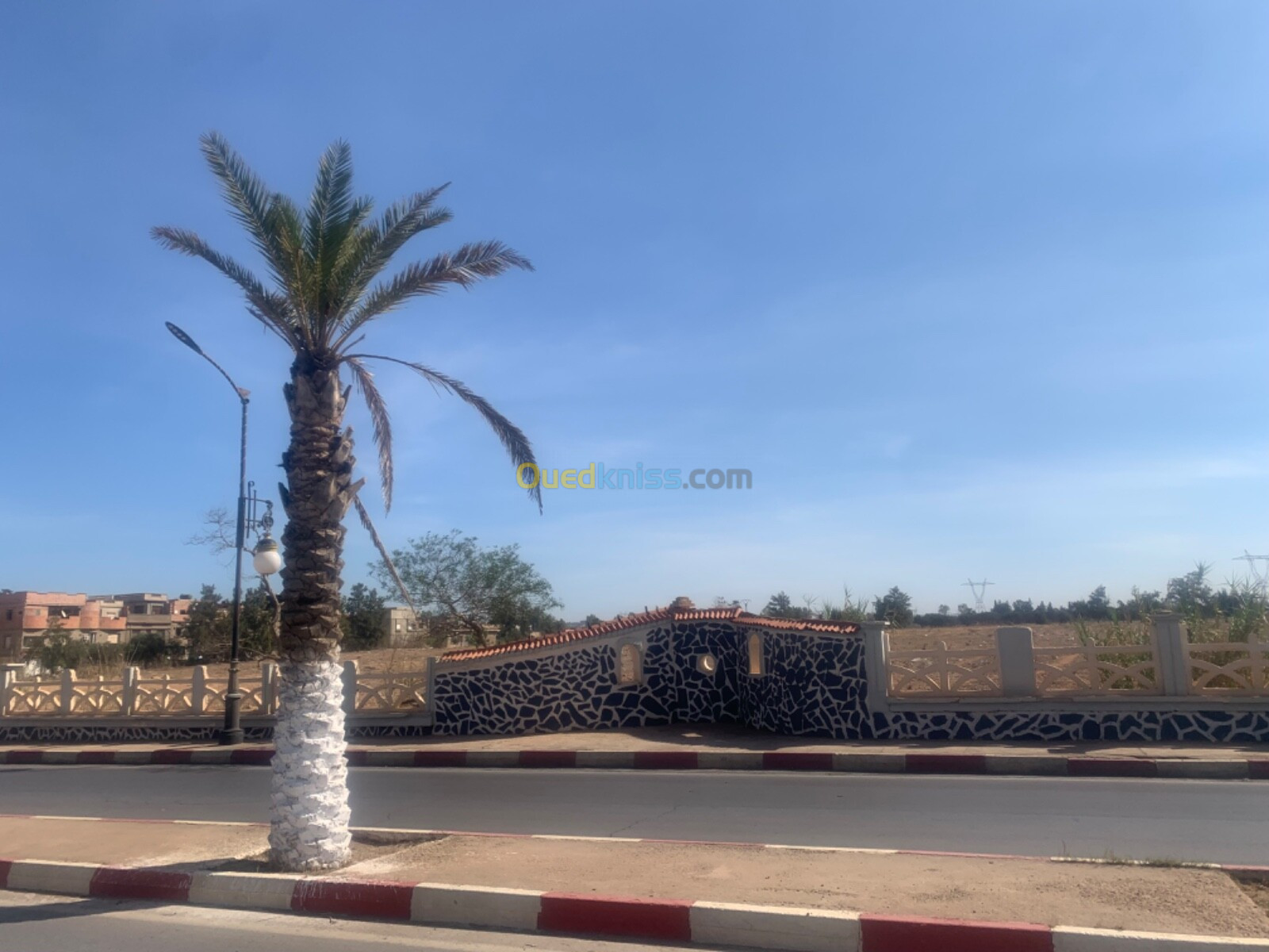 Vente Terrain Mostaganem Mesra