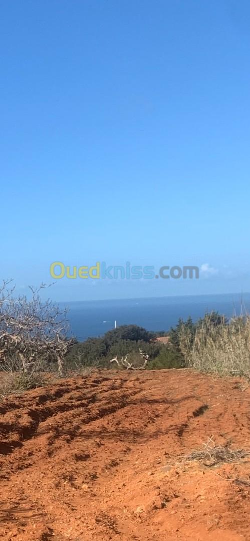 Vente Terrain Mostaganem Abdelmalek ramdane