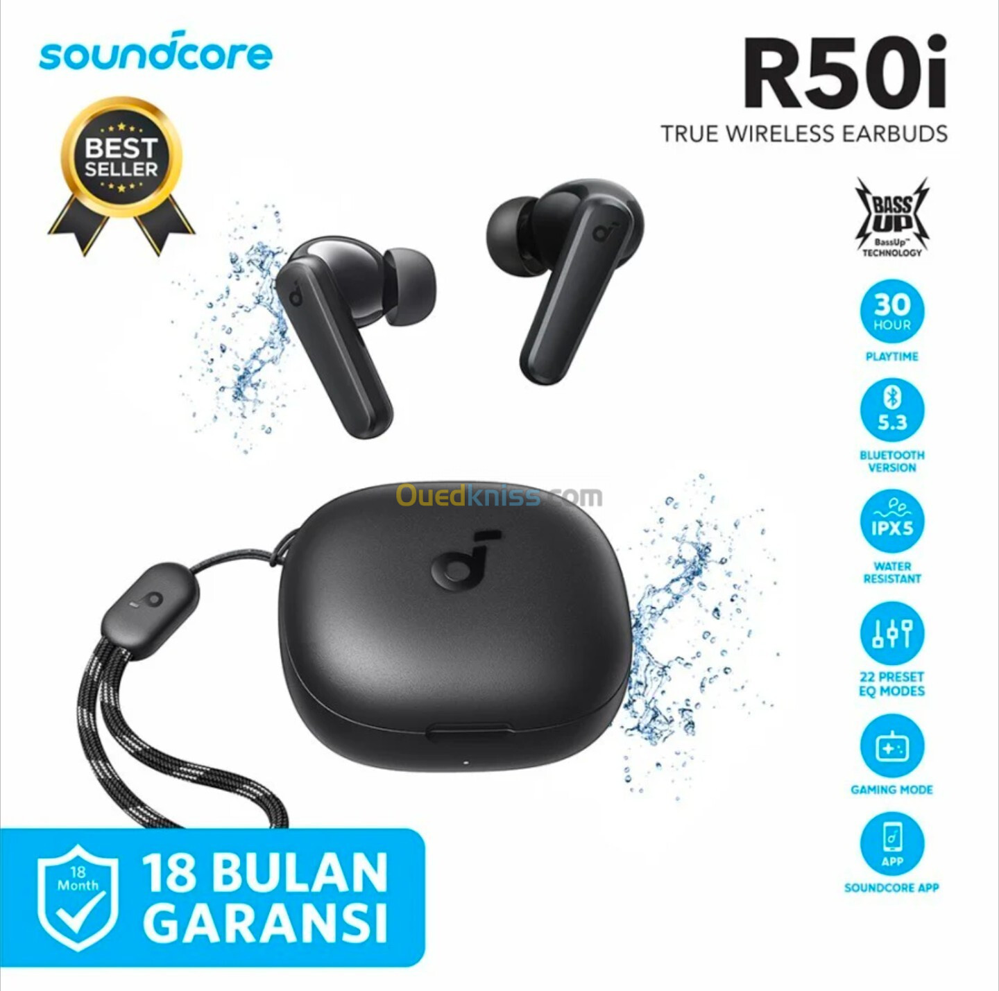 Anker Soundcore R50i