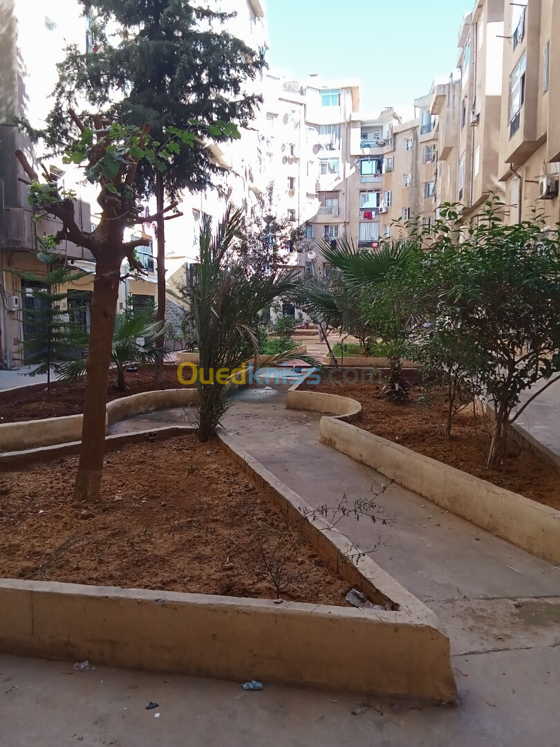 Vente Appartement F5 Alger Mohammadia