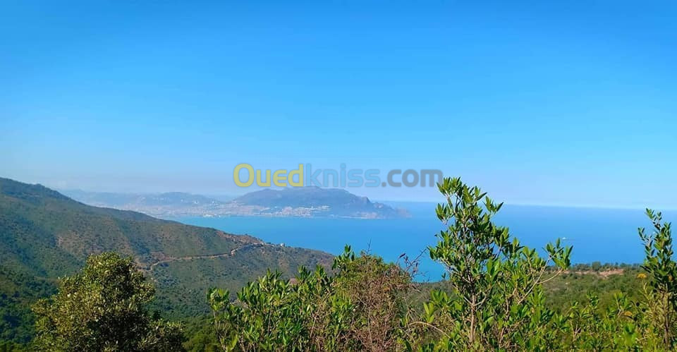 Vente Terrain Bejaia Tichy