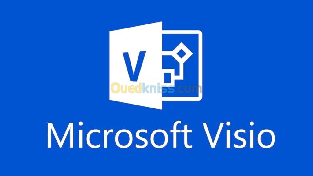  Microsoft Project Pro & Visio Pro Originaux