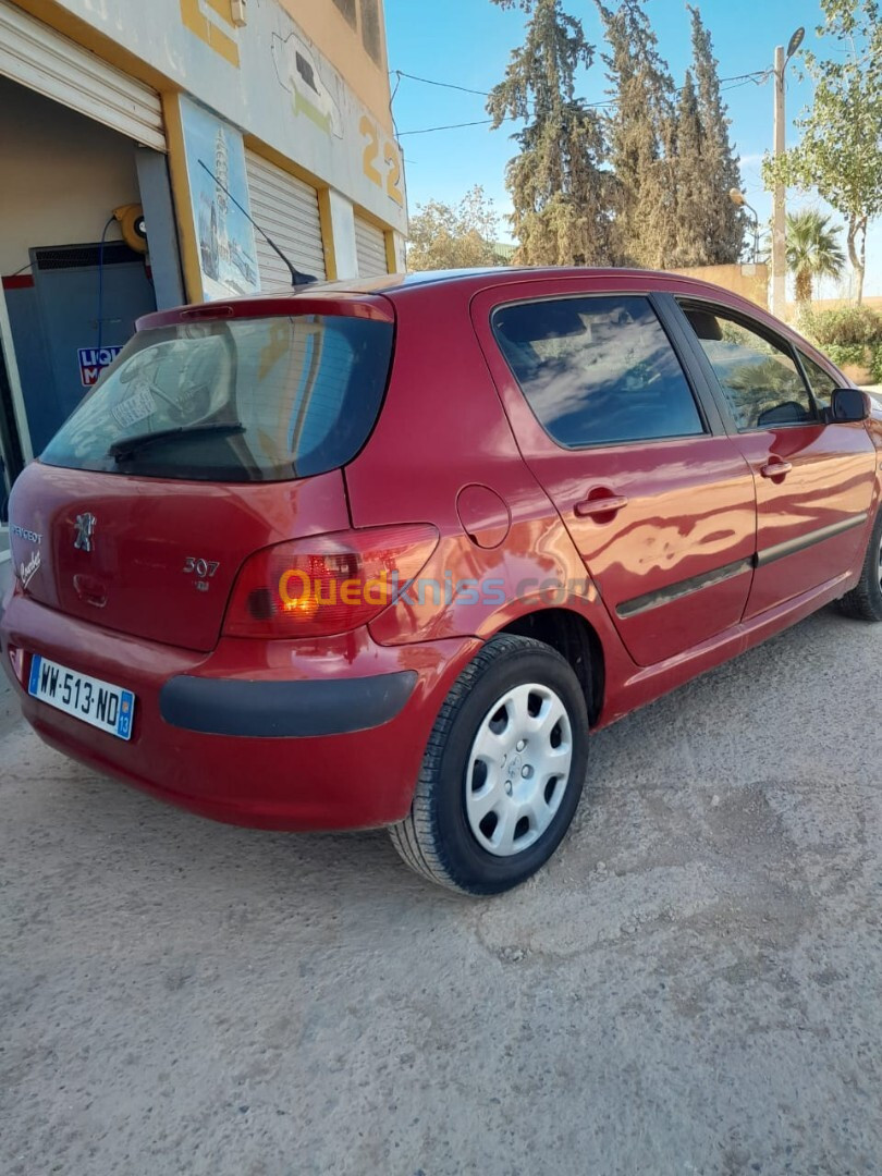 Peugeot 307 2002 307