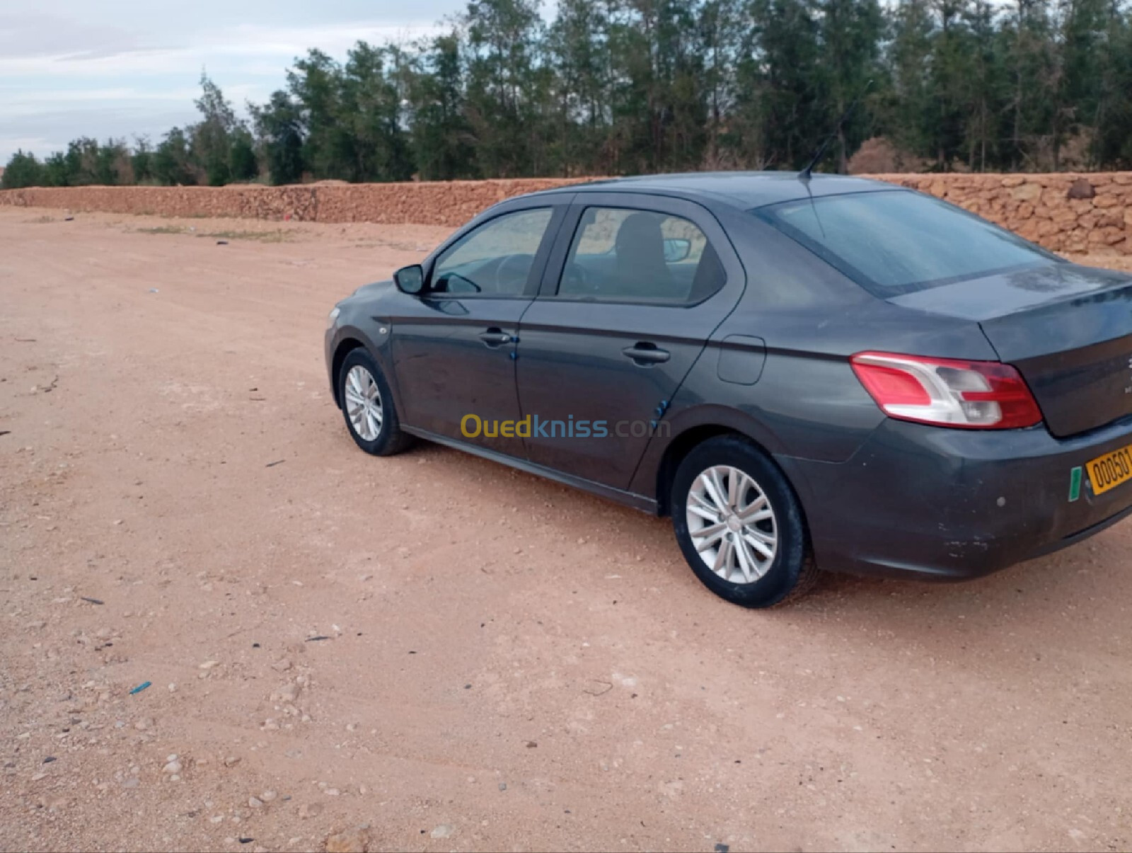 Peugeot 301 2015 Active