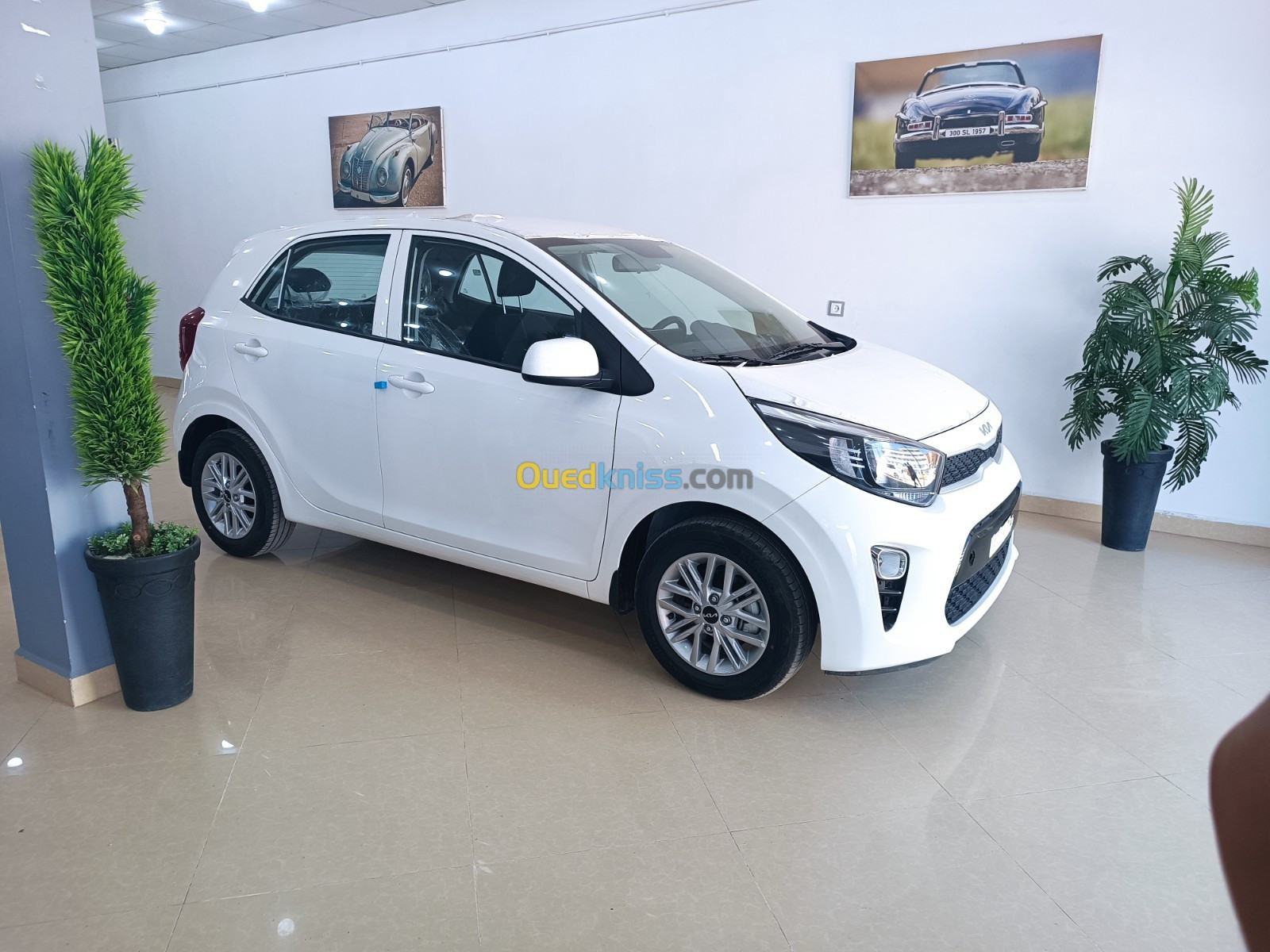 Kia Picanto 2023 Ex