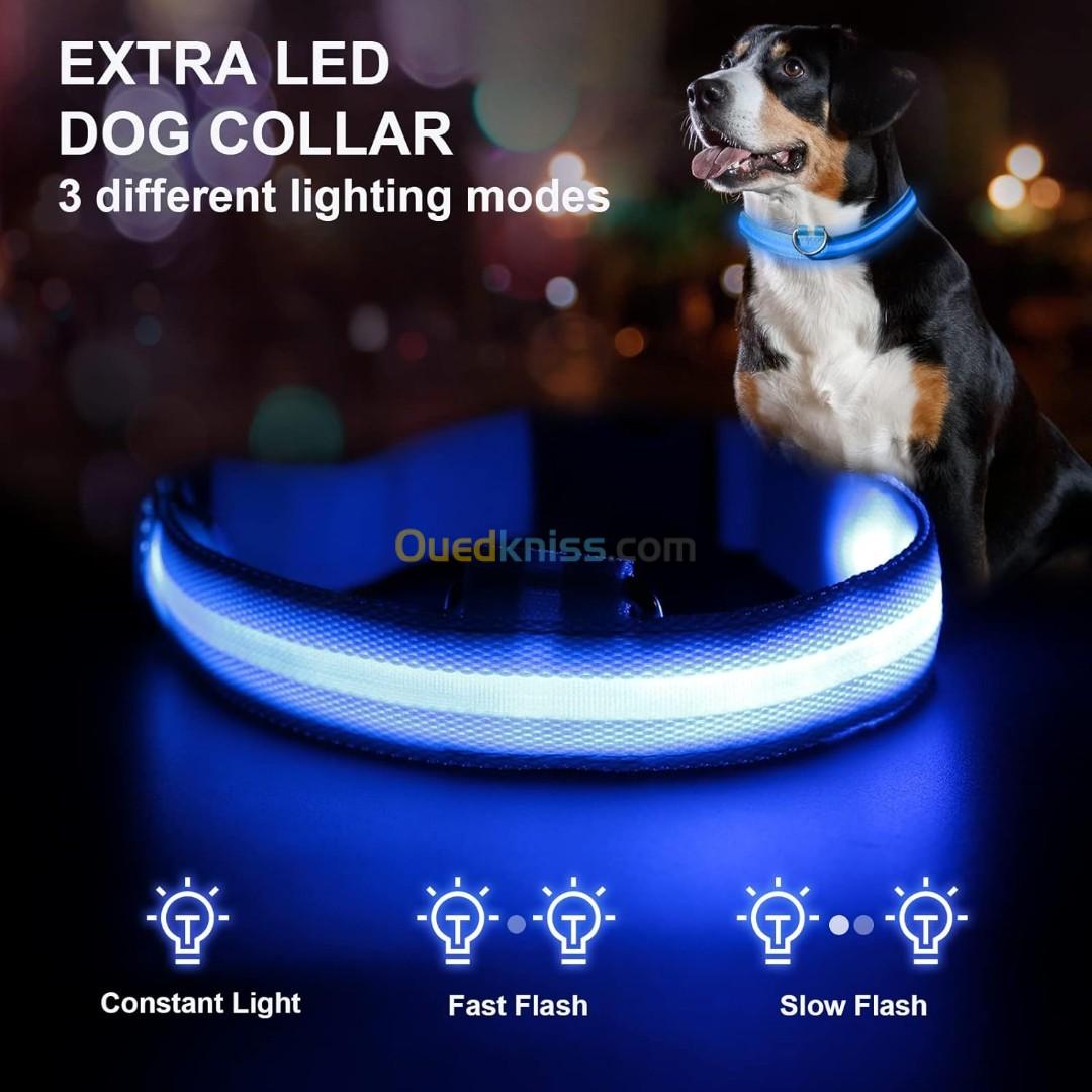 AJOXEL 6 pièces lampe clignotante LED de sécurité à clipser chiens, chats, porte-clés pendentif