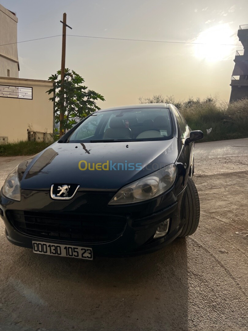 Peugeot 407 2005 407