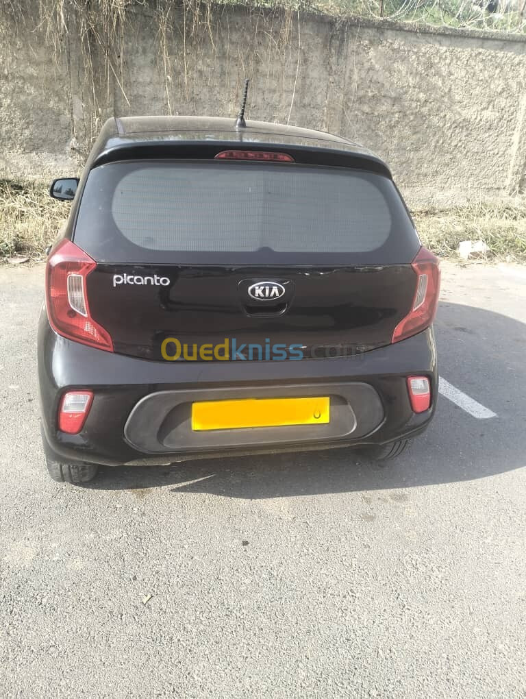 Kia Picanto 2019 Funny