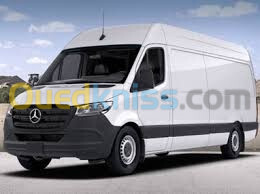 Service de Transport de Marchandises avec Fourgon Mercedes Sprinter 2022 (2 Panneaux)